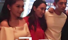 李易峰女友爆料马苏视频,李易峰女友爆料引发娱乐圈热议