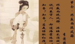 李清照新皮肤爆料视频大全,穿越时空的美丽邂逅，揭秘视频大全